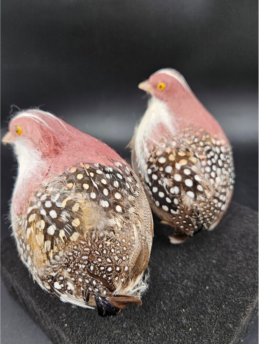 Real Feather Craft Quail Birds Pair Floral Wreath Display Decor 3"x4"